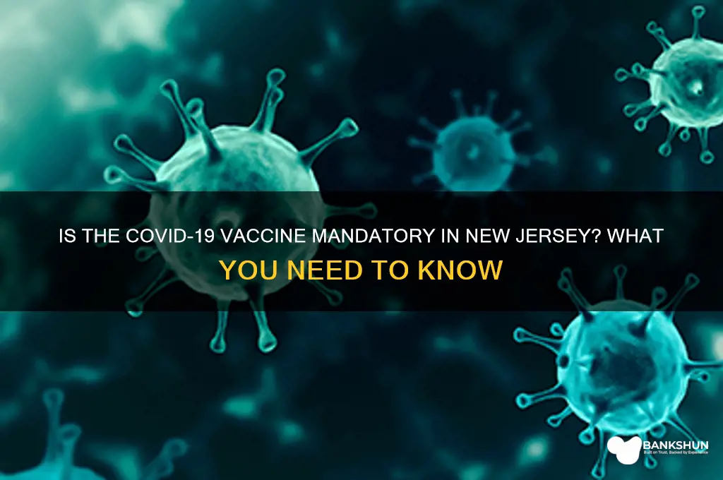 is the vaccine mandatory in new jersey