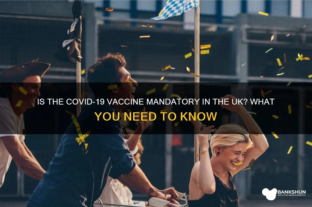 is the vaccine mandatory in the uk