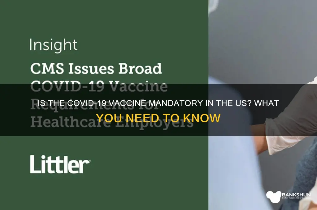is the vaccine mandatory in the us