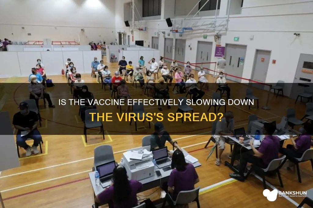 is the vaccine slowing down the virus