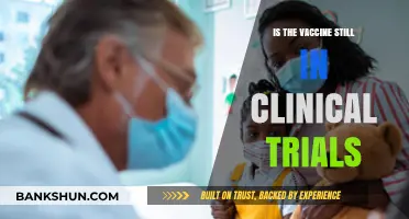 Is the Vaccine Still in Clinical Trials? Facts vs. Misinformation