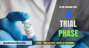 Is the Vaccine Still in Trial Phase? Unraveling the Facts