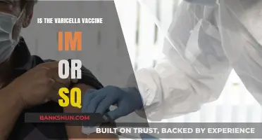 Varicella Vaccine Administration: Intramuscular (IM) or Subcutaneous (SQ)?