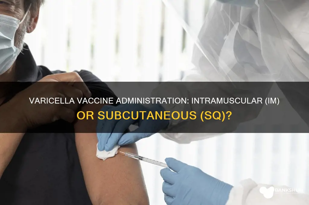is the varicella vaccine im or sq