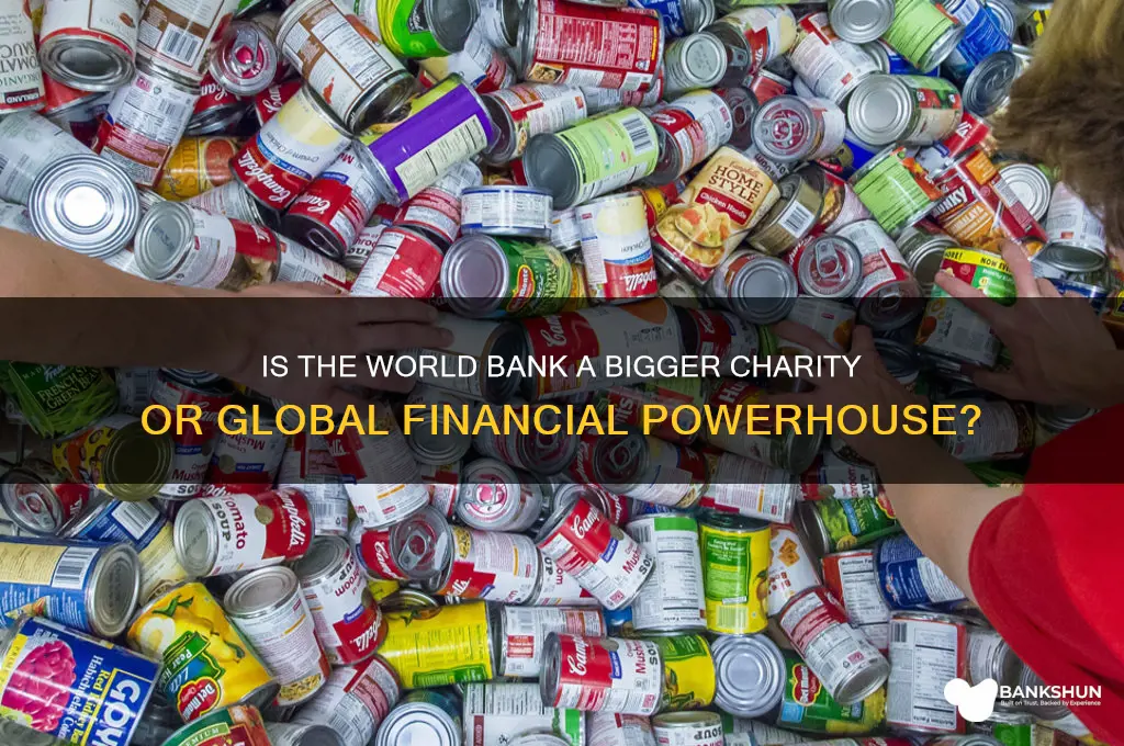 is the world bank a bigger charity