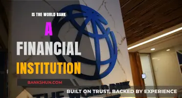 Is the World Bank a Financial Institution? Unveiling Its Role and Impact