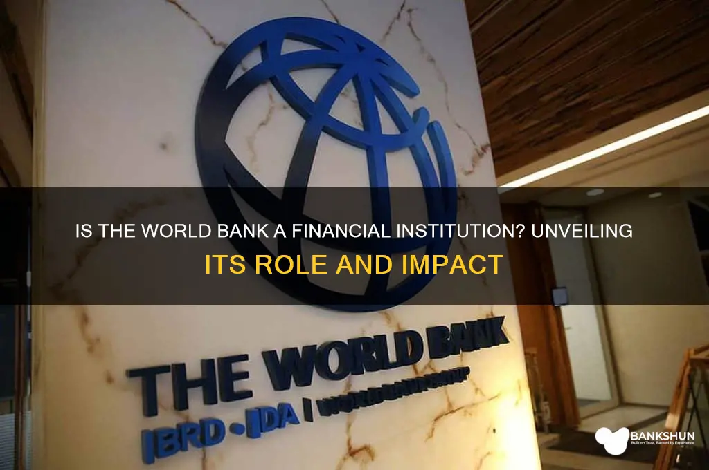 is the world bank a financial institution