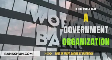 Is the World Bank a Government Organization? Unraveling Its Structure