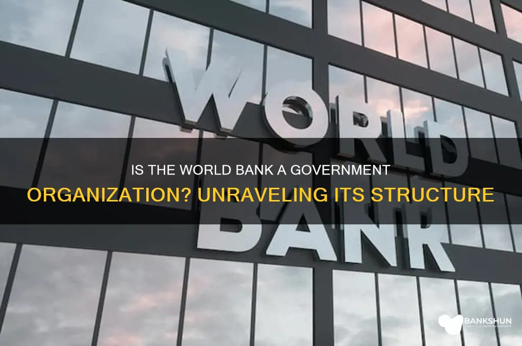 is the world bank a government organization