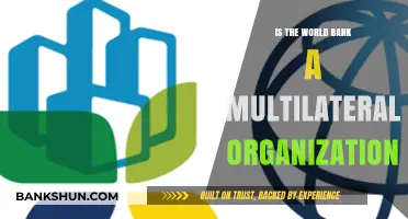 Is the World Bank a Multilateral Organization? Exploring Its Global Role