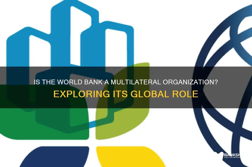 is the world bank a multilateral organization