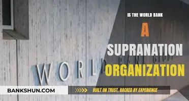 Is the World Bank a Supranational Organization? Exploring Its Role and Power