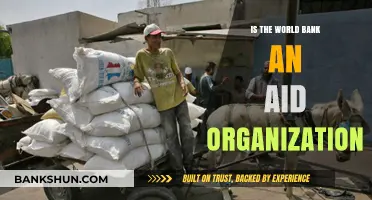 Is the World Bank an Aid Organization? Unveiling Its Role and Impact