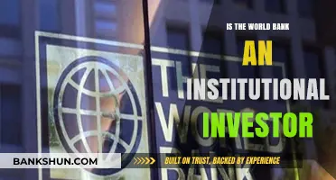Is the World Bank an Institutional Investor? Exploring Its Role
