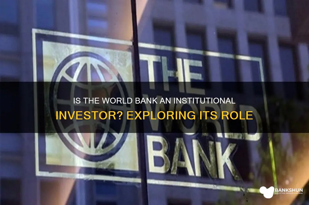 is the world bank an institutional investor
