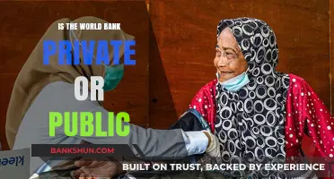 Is the World Bank Private or Public? Unraveling Its Ownership Structure
