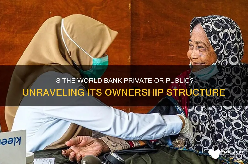 is the world bank private or public