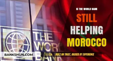 Is the World Bank Still Supporting Morocco's Development Goals?