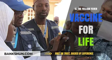 Yellow Fever Vaccine: Lifelong Immunity or Periodic Booster Needed?