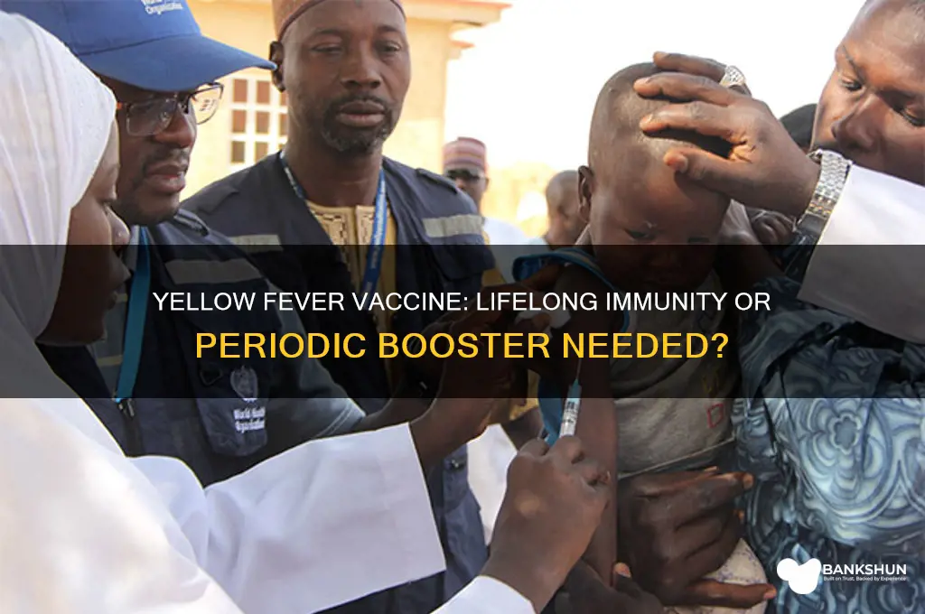 is the yellow fever vaccine for life
