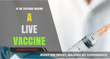 Is Zostavax a Live Vaccine? Understanding Its Composition and Safety