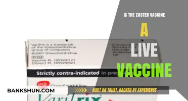 Is the Zoster Vaccine Live? Understanding Its Composition and Safety