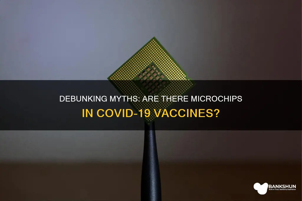 is their a chip in the vaccine