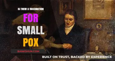 Smallpox Vaccination: History, Eradication, and Current Availability Explained