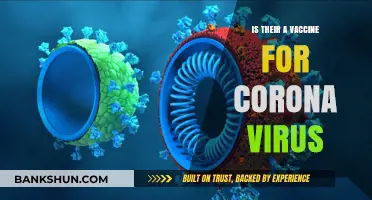 Is There a Coronavirus Vaccine? Latest Updates and Facts