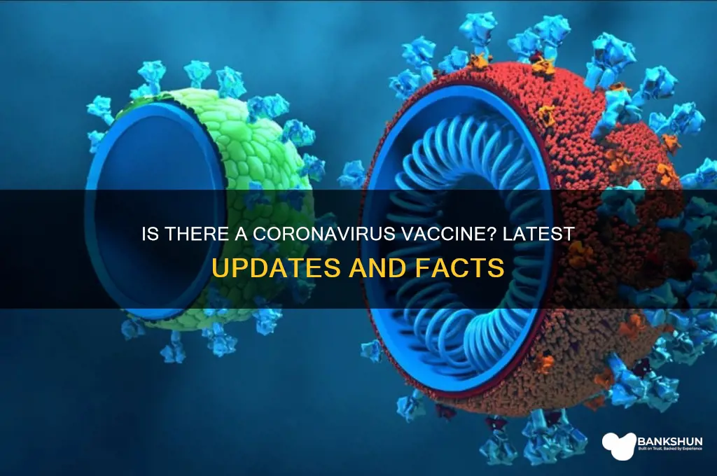 is their a vaccine for corona virus