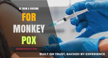 Is There a Monkeypox Vaccine? What You Need to Know