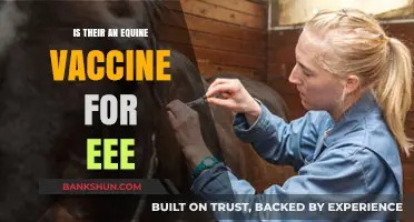 EEE in Horses: Exploring the Availability of an Equine Vaccine