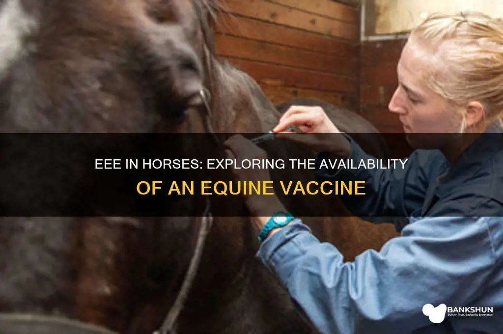 is their an equine vaccine for eee
