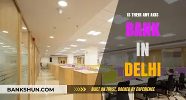 Axis Bank Branches in Delhi: Locations and Services Guide