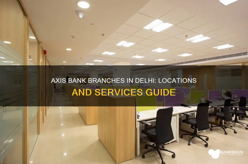 is their any axis bank in delhi