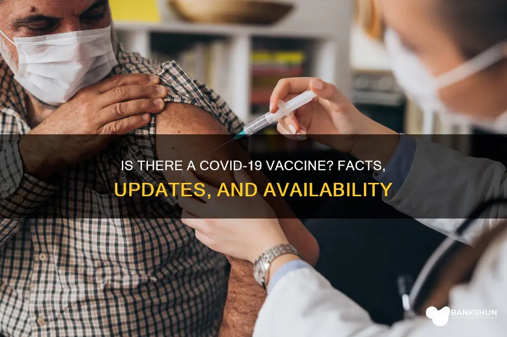 is ther a vaccine for corona virus