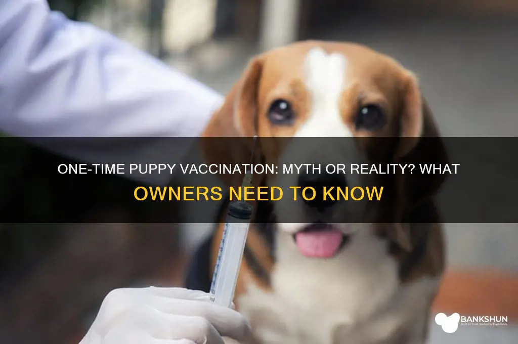 is there a 1 time puppy vaccination