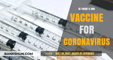 Exploring the Possibility of a Third COVID-19 Vaccine Option