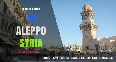 Exploring Aleppo's Financial Landscape: Are There Banks in Syria's Historic City?