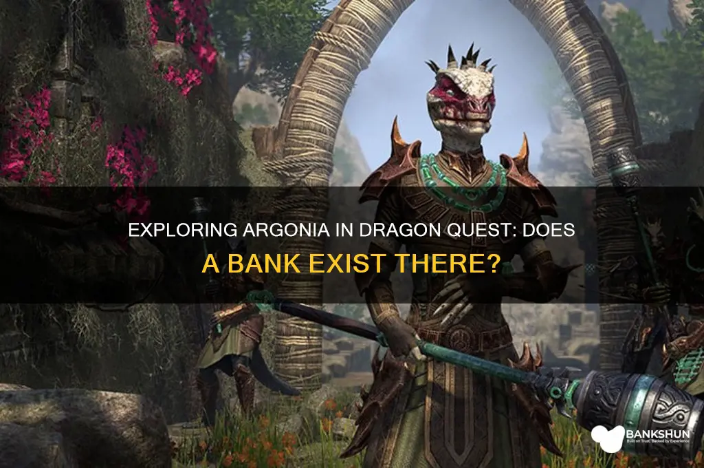 is there a bank in argonia dragonquest