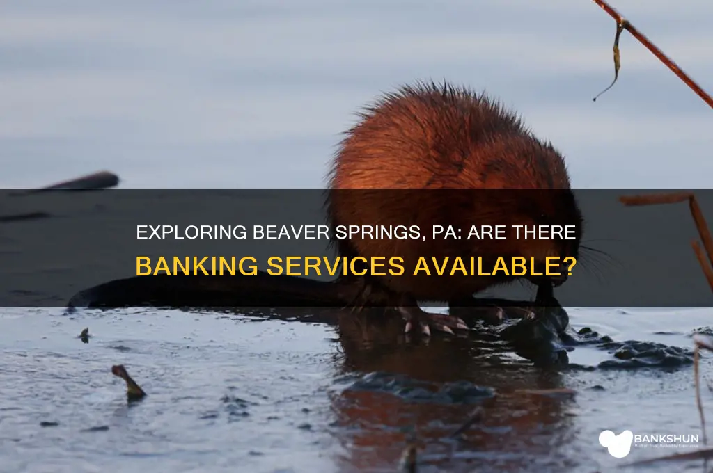 is there a bank in beaversprings pa