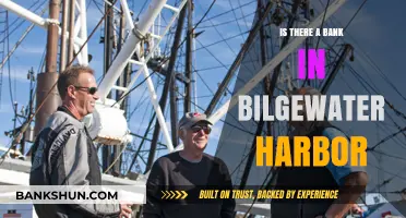 Exploring Bilgewater Harbor: Does a Bank Exist in This Pirate Haven?