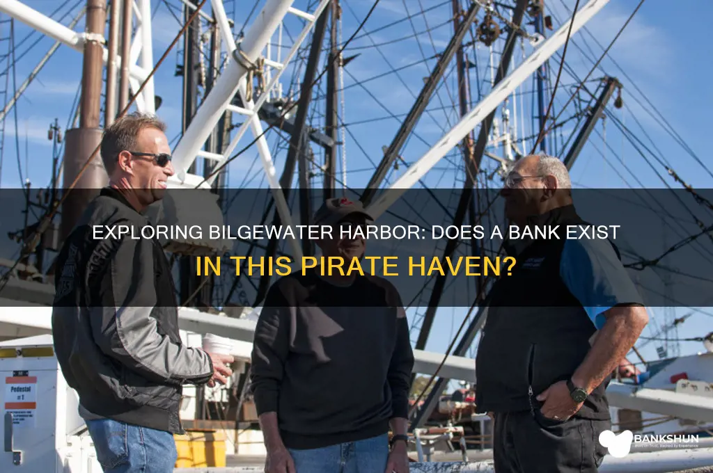 is there a bank in bilgewater harbor