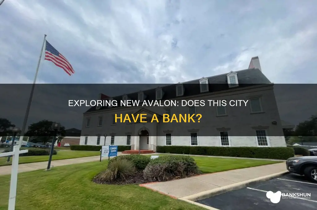 is there a bank in new avalon