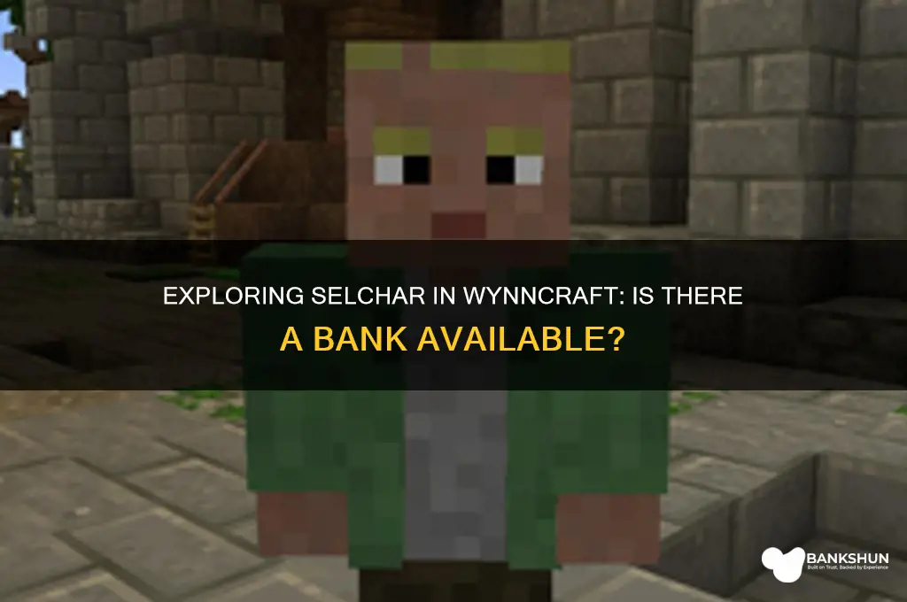 is there a bank in selchar wynncraft