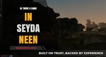 Exploring Seyda Neen: Uncovering the Truth About Its Banking Facilities