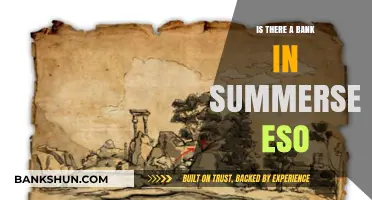 Exploring Summerset in ESO: Are There Banking Services Available?