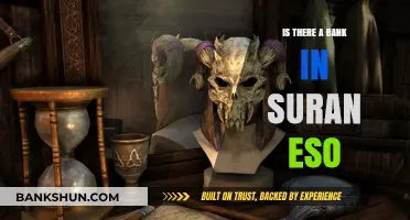 Exploring Suran in ESO: Does This City Have a Bank?