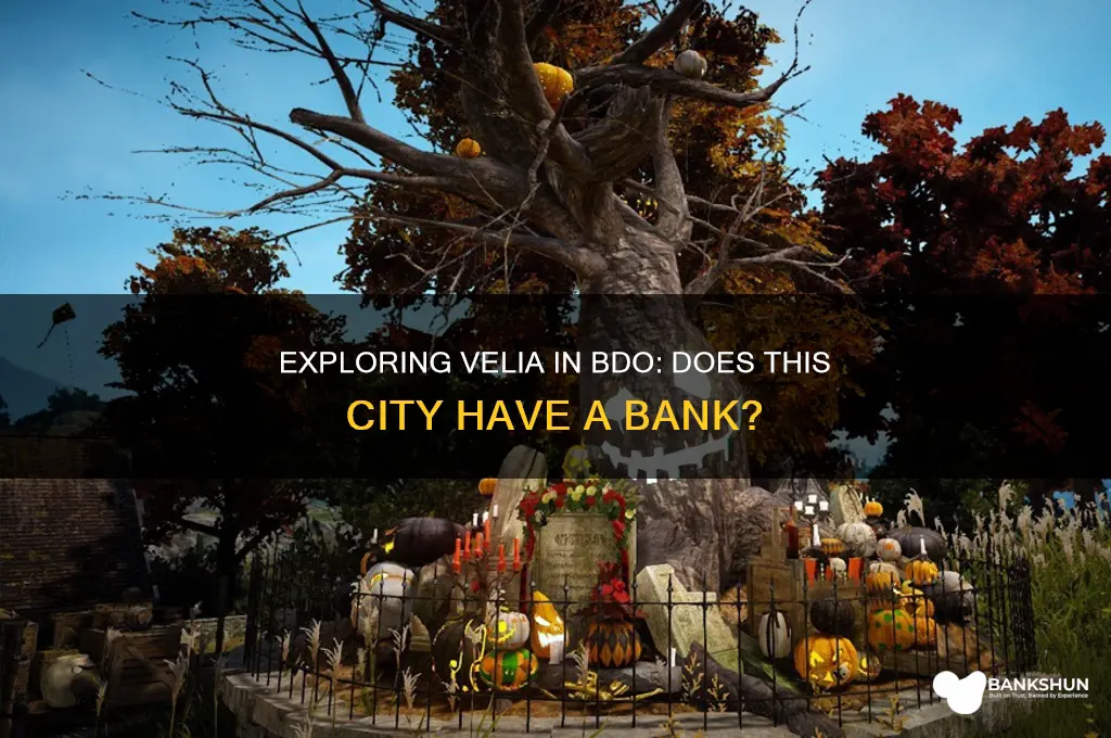is there a bank in velia bdo