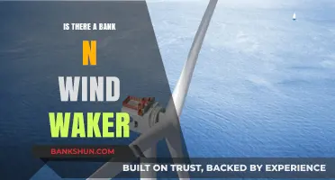 Exploring Wind Waker: Does a Bank Exist in Hyrule's Waters?